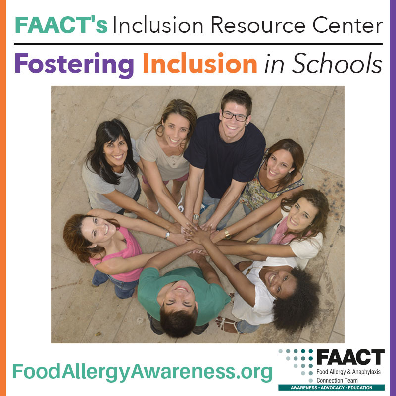 Fostering Inclusion in Schools - FAACT DEI Graphic